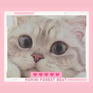 Kokiri Forest Beat - Single