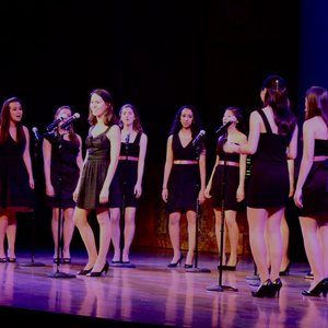 The Princeton Tigerlilies 的头像