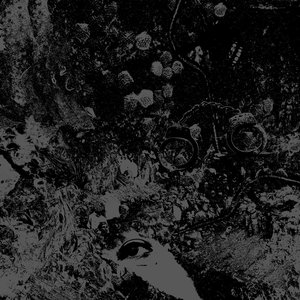Split [Explicit]