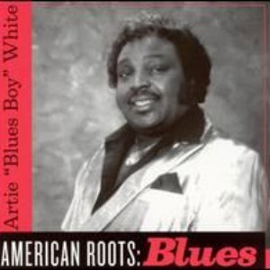 American Roots - Blues