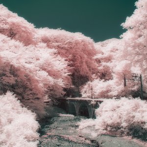 がたんごとん