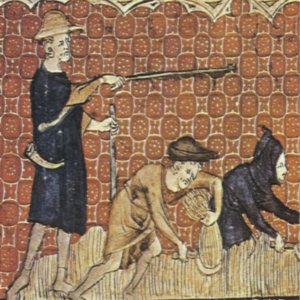 feudal