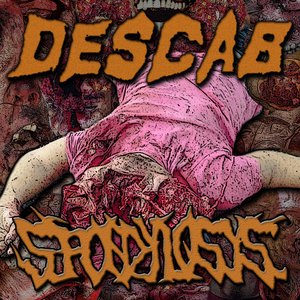 Descab / Spondylosys
