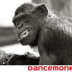 “Dancemonkey”的封面
