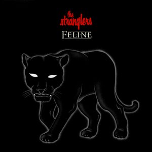 Feline