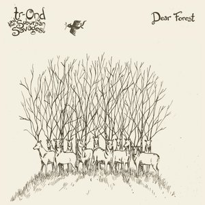 Dear Forest