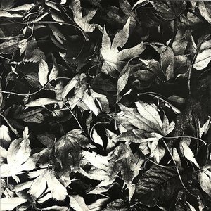 All Different Things / By-Blow
