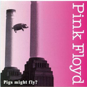 Pigs Might Fly