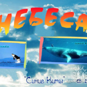 синее синее небо группа