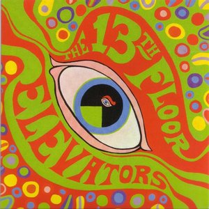 The Psychadelic Sounds of The 13th Floor Elevators