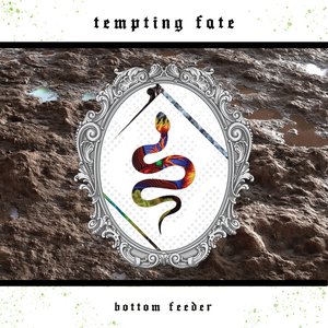 Bottom Feeder - Single