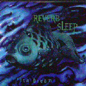 “Reverb Sleep”的封面