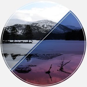 Avatar for Anima.