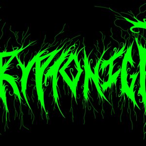 Cryptonight 的头像
