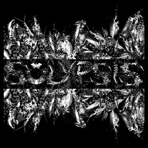 Krill EP