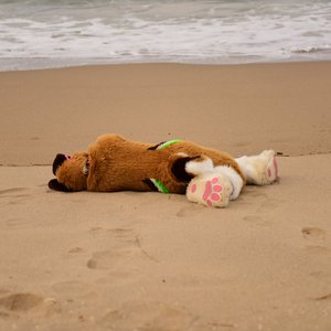 Monday9 的头像