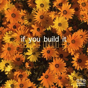 If You Build It