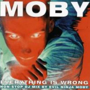 Everything Is Wrong: The DJ Mix Album
