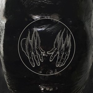 Birds In Row / WAITC