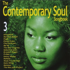 The Contemporary Soul Songbook, Vol. 3