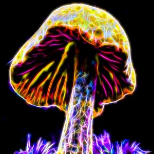 Avatar for MØNØ