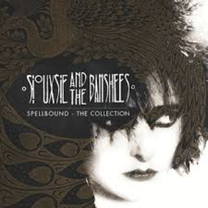 Siouxsie & the Banshees - Drifter Lyrics - Zortam Music