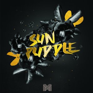 Bild för 'Sun Puddle - Single'