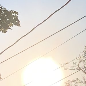 Actually The Sun 的头像