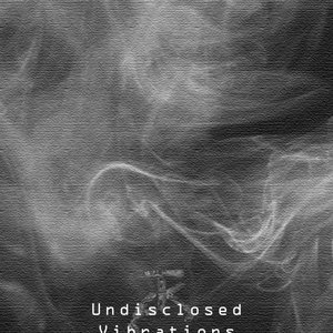 Undisclosed Vibrations 的头像