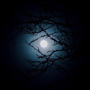 Under The Same Moon