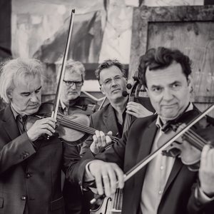 Image for 'Modern String Quartet'