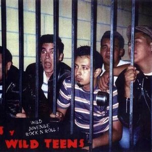 Awatar dla Lil' Luis Y Los Wild Teens