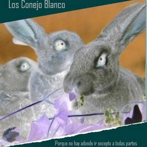 Los Conejo Blanco 的头像