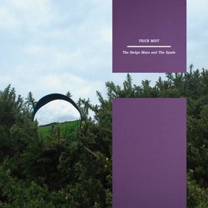 The Hedge Maze and the Spade