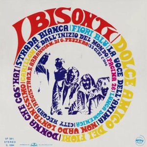 I Bisonti