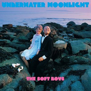 Soft Boys - Underwater Moonlight - Zortam Music