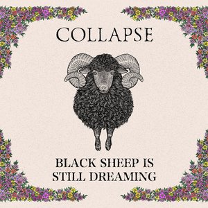 BLACK SHEEP IS STILL DREAMING