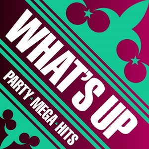 What's Up Party Mega Hits