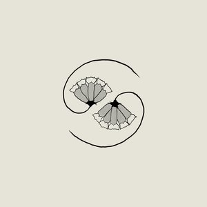 G_d’s Pee AT STATE’S END! — Godspeed You! Black Emperor