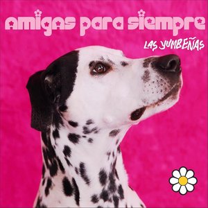 Image for 'Amigas para Siempre - EP'