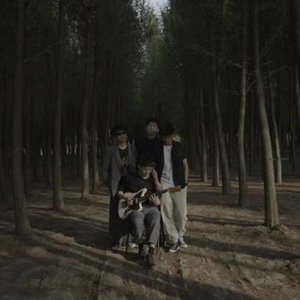 Sense Print Shop 的头像