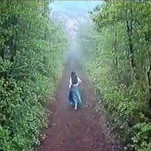 森の賛美歌
