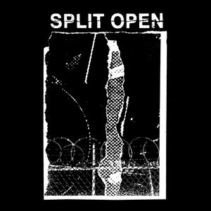 Avatar for Split Open