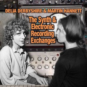 The Synth & Electronic Recording Exchanges