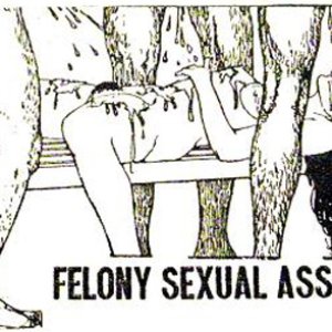 Felony Sexual Assault 的头像