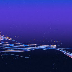 Imagen de 'Mr.サマータイム (feat. 大和田慧)'