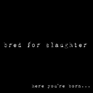 Here You’re Born... Here You Die