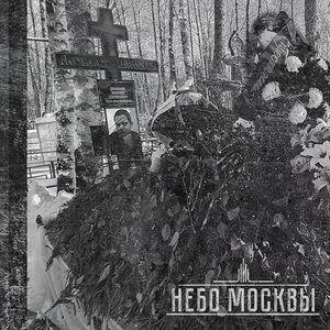 Небо Москвы 的头像