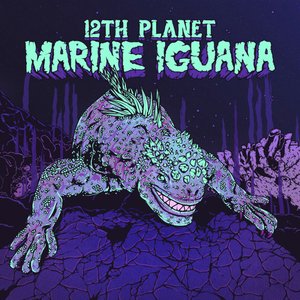 Marine Iguana