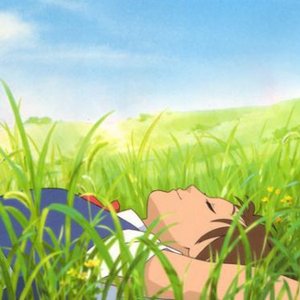The Cat Returns 的头像